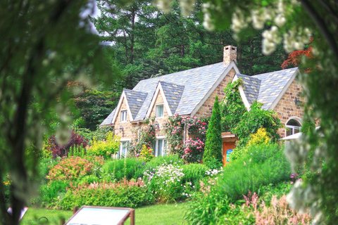 A partir de Seul: Begonia Bird Park, Rail Bike e Garden TourDongdaemun, 9h