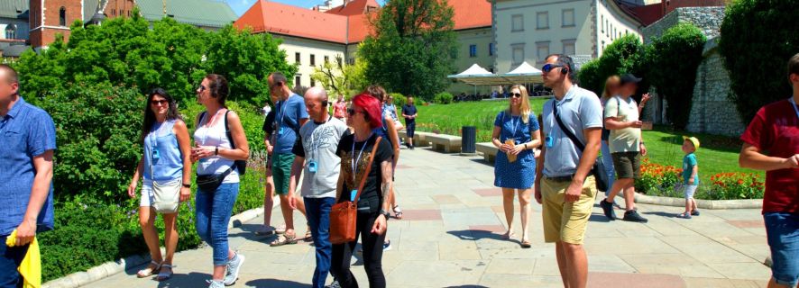 Cracovia: tour guidato del castello di Wawel con biglietti d'ingresso