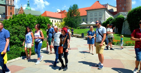 Krakow: Wawel Castle Guided Tour with Entry Tickets