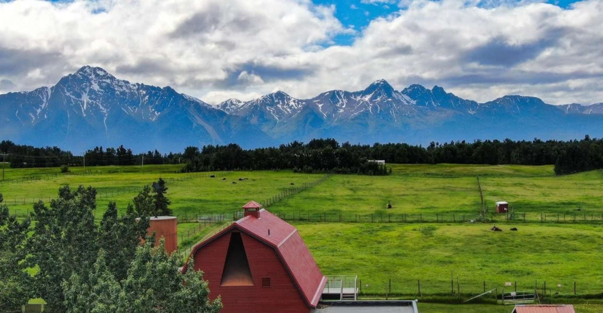 A partir d'Anchorage, promenade scénique et visite guidée de la ferme Musk Ox - Hizvo