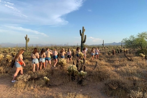 Scottsdale: McDowell Sonoran Preserve Hiking Tour
