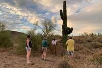 Scottsdale, McDowell Sonoran Preserve Tour escursionistico - Hizvo