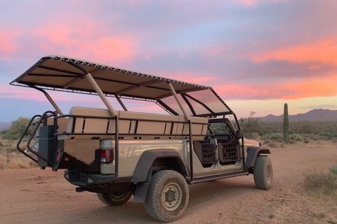 Desierto de Sonora: Excursión en jeep al atardecer con el Bosque Nacional de Tonto