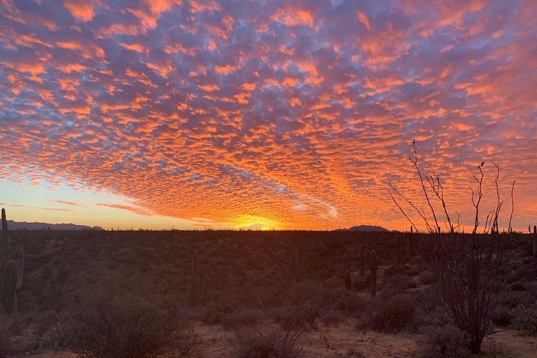 Sonorawoestijn: Jeeptour bij zonsondergang met Tonto National Forest