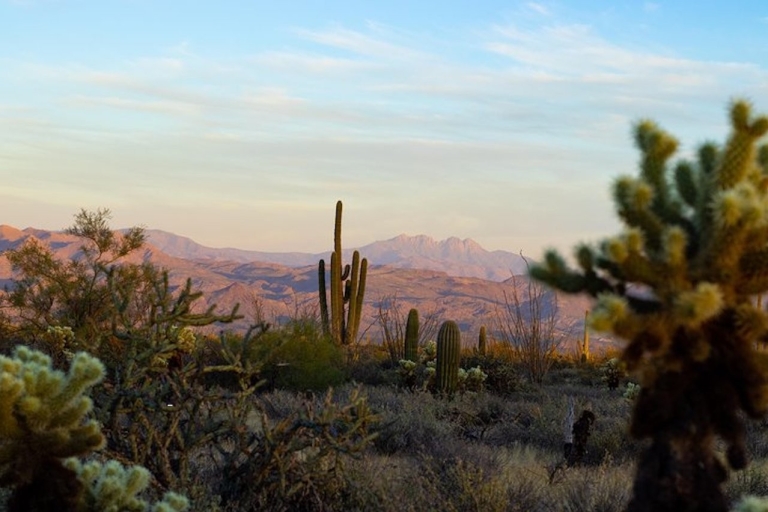 Sonoran Desert: Sunset Jeep Tour with Tonto National Forest