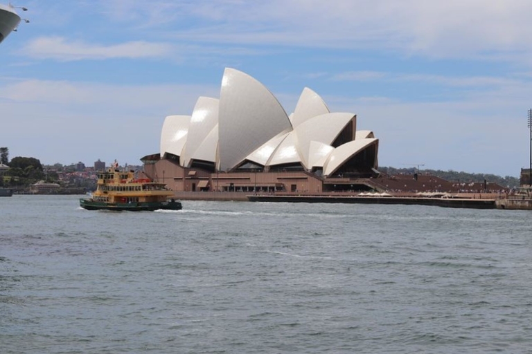 Sydney: visite privée de la ville de Sydney et de la faune australienne