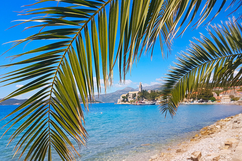 Dubrovnik : croisière dans les îles Élaphites avec déjeuner et boissonsDubrovnik : croisière d'une journée aux îles Élaphites avec déjeuner