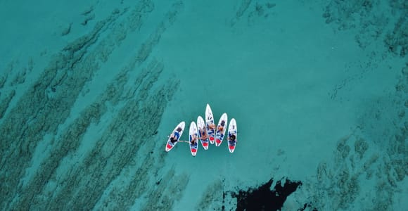 Von Zadar aus: Ganztägige Dugi Otok Paddle Board Tour mit Führung
