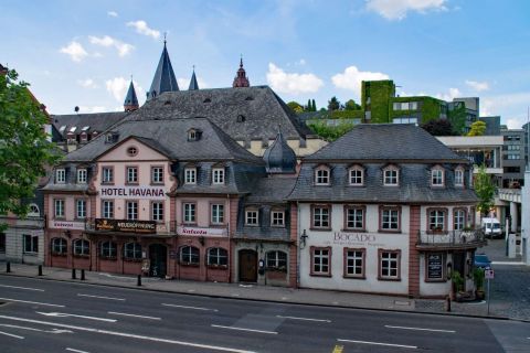 Mainz: Private Walking Tour With Professional Guide