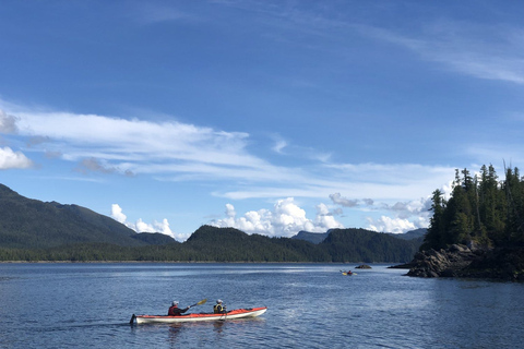Ketchikan: Orca Cove Fast Boat & Sea Kayaking Tour