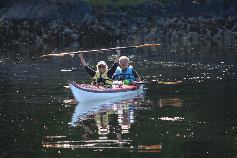 Ketchikan: Orca Cove Fast Boat & Sea Kayaking Tour
