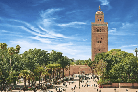 De Casablanca: Viagem de 1 dia para Marrakech com passeio de camelo