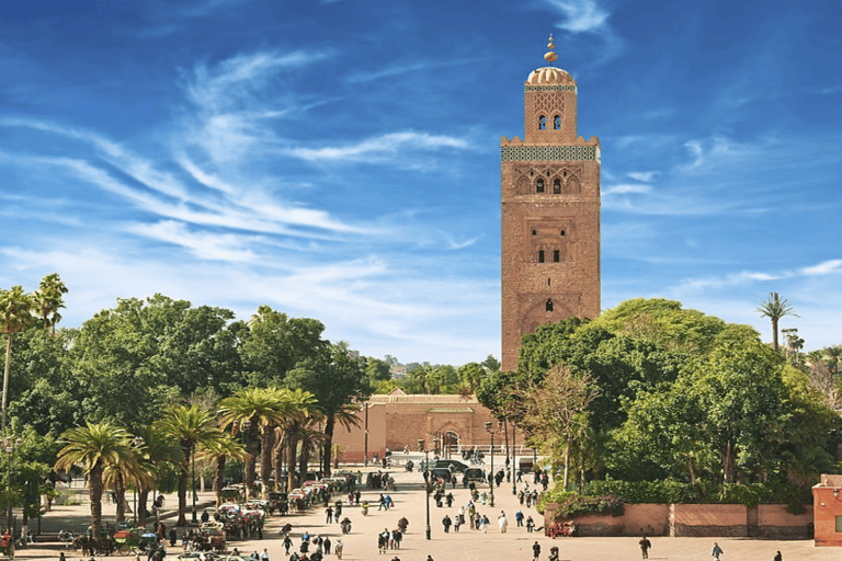 Da Casablanca: Escursione di un giorno a Marrakech con giro in cammello