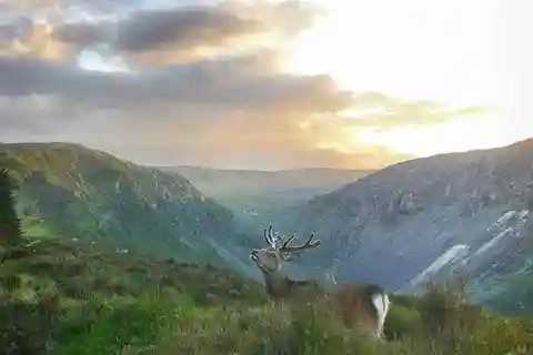 Wicklow: Nocna wycieczka z przewodnikiem po Glendalough i wycieczka historyczna