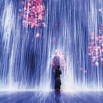 Miami: biglietto per l'esperienza d'arte immersiva 