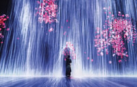 Miami, 'Superblue Miami' Inmersive Art Experience Ticket - Housity