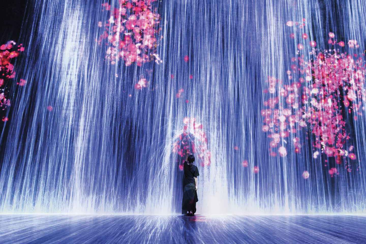 enjoy a multi-sensory experience at superblue miami