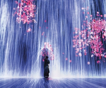 Billet pour l'expérience artistique immersive "Superblue Miami".