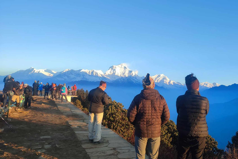 Ghorepani Poon Hill Trek - 4 Days