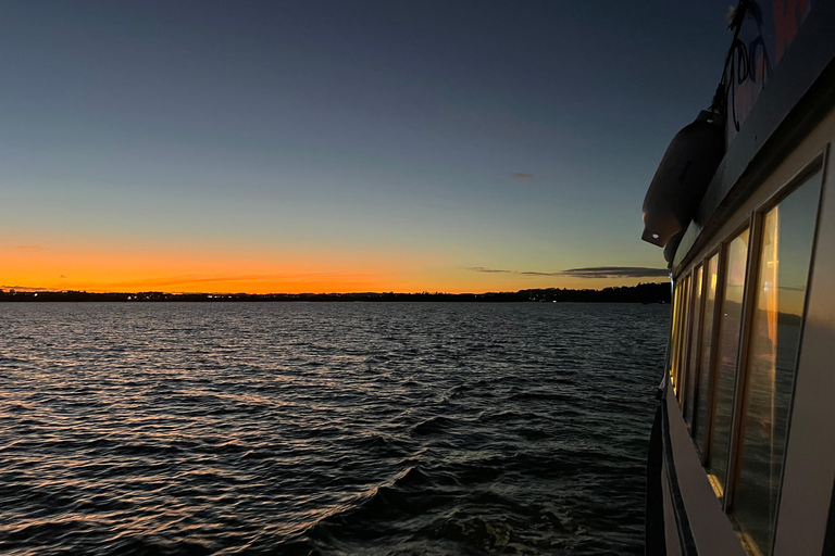 Havencruise bij zonsondergang in AucklandRondvaart tijdens zonsondergang met drankje en kaasdoos-upgrade