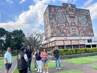 Xochimilco & Colonial Coyoacan Trip - Housity