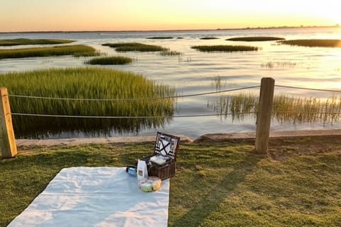 Charleston: Premium E-bike Sunset Ride with Picnic Setup