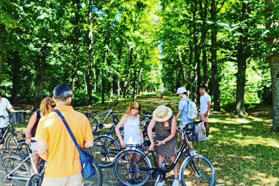Paris: Versailles Golf Cart & Bike Tour mit Schlosseintritt