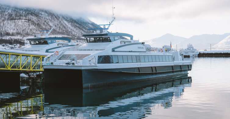 Isole Lofoten: tour sul Trollfjord in barca silenziosa