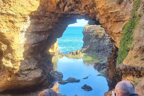 Tour Premium della Great Ocean Road - Massimo 11 passeggeri