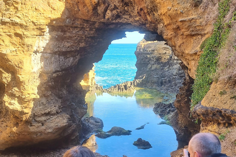 Tour Premium della Great Ocean Road - Massimo 11 passeggeri