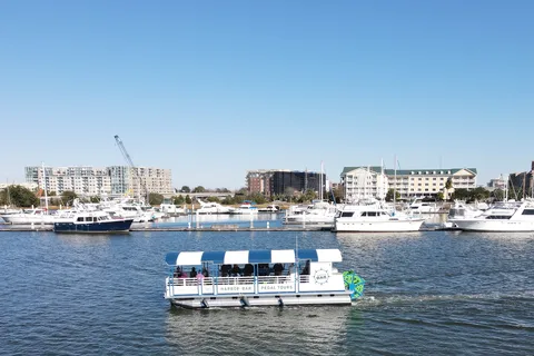 Charleston: Harbor Bar Pedal Boat Party Cruise