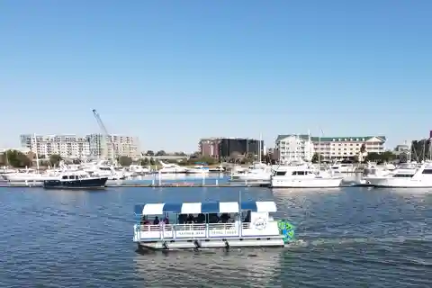 Charleston: Harbor Bar Pedal Boat Party Cruise