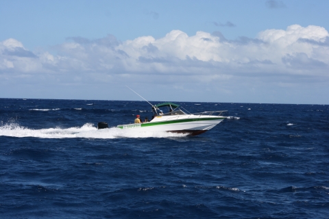 Trois îles du Nord : excursion en bateau privé et barbecue sur la plageExcursion en bateau privé