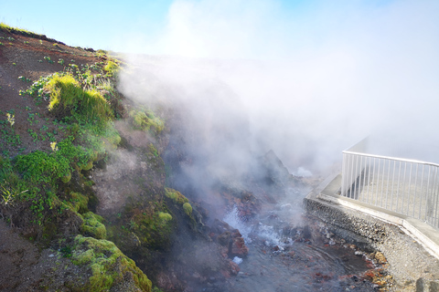 Reykjavik : grotte de lave, thermes et cascadesReykjavik: visite de la grotte de lave, des sources chaudes et des cascades