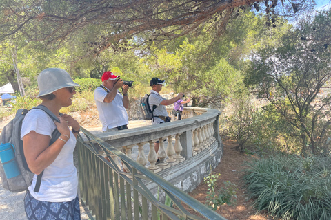 Recorrido a pie por el casco antiguo de Niza y la colina del castilloNiza: visita guiada a pie por el casco antiguo