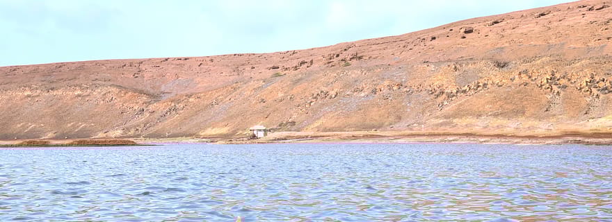 Île de Sal : observation privée des requins et expérience flottante