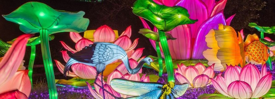 Boston Lights: A Lantern Experience at Franklin Park Zoo