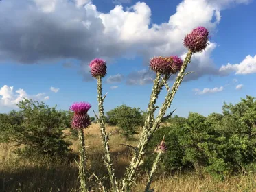 Wandern in der Murgia von Castel del Monte