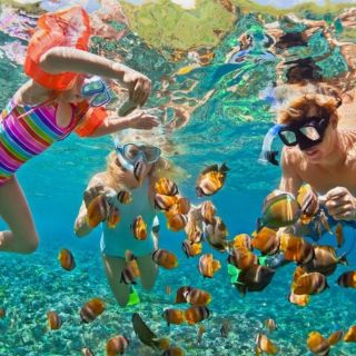 Cape Coral: Guided Snorkeling Getaway Tour at CJ Reef