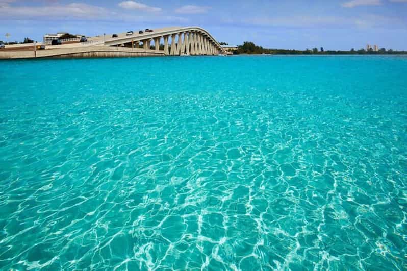 Cape Coral Guided Snorkeling Getaway Tour at CJ Reef GetYourGuide