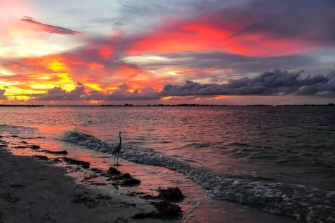 Fort Myers: Cape Coral Canal & Mangrove Sunset Boat Tour