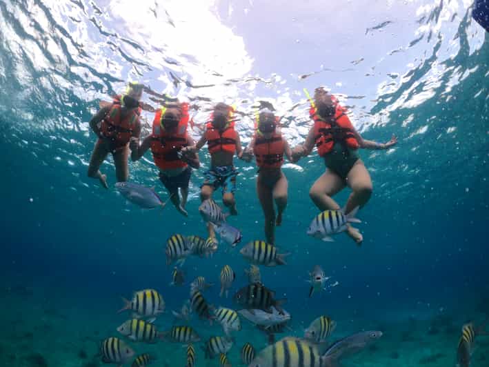 Cozumel Clear Boat Ride and Snorkeling Trip GetYourGuide