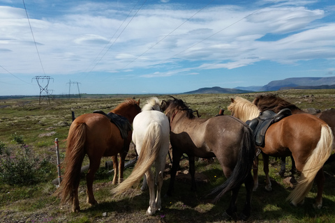 Reikiavik: Silfra Snorkel Tour y paseo a caballo con fotos