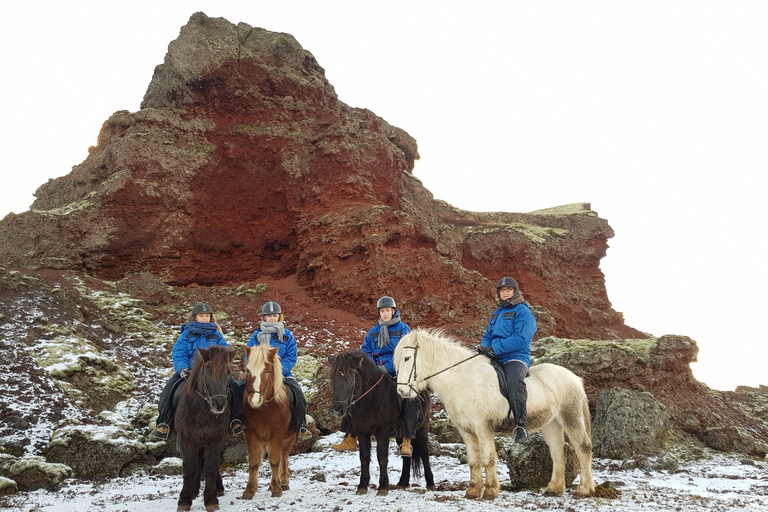 Reykjavik: Silfra-snorkeltour en paardrijtocht met foto's