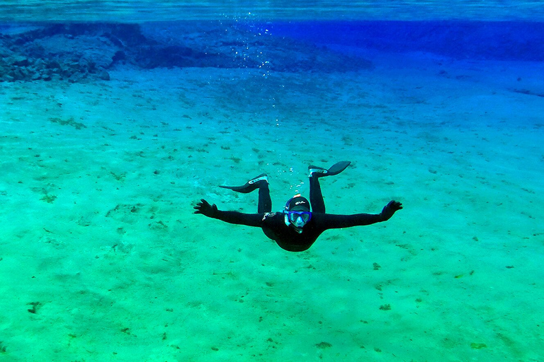 Reykjavik: Silfra-snorkeltour en paardrijtocht met foto's