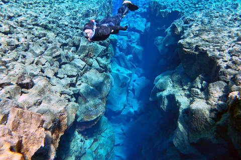 Reykjavik: Silfra-snorkeltour en paardrijtocht met foto's