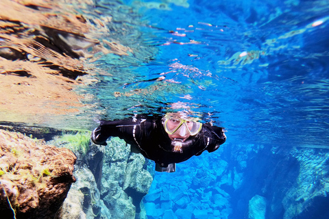 Reykjavik: Silfra-snorkeltour en paardrijtocht met foto's