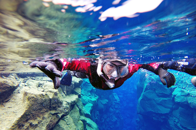 Reykjavik: Silfra-snorkeltour en paardrijtocht met foto's