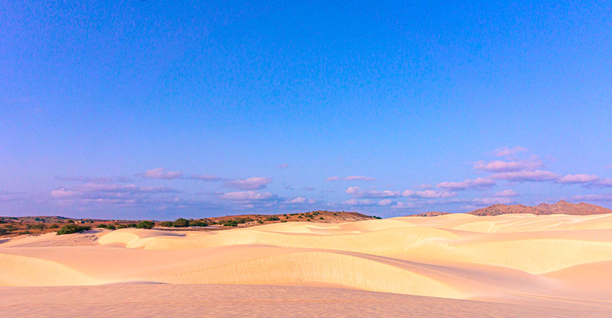 Boa Vista, Viana Desert Quad Bike Adventure - Housity