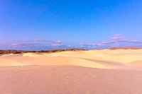 Boa Vista, Viana Desert Quad Bike Adventure - Housity